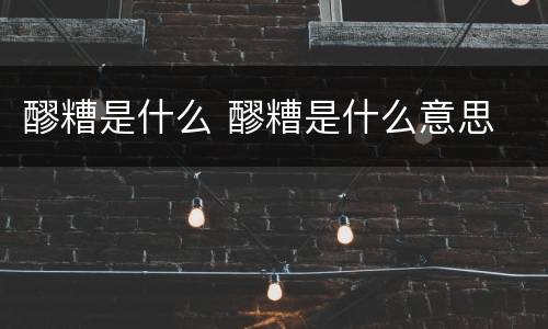 醪糟是什么 醪糟是什么意思