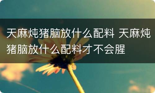 天麻炖猪脑放什么配料 天麻炖猪脑放什么配料才不会腥