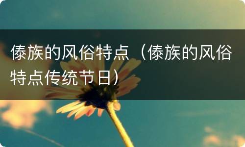 傣族的风俗特点（傣族的风俗特点传统节日）