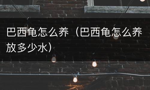 巴西龟怎么养（巴西龟怎么养放多少水）