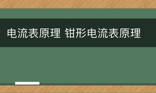 电流表原理 钳形电流表原理