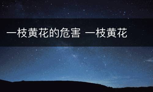 一枝黄花的危害 一枝黄花