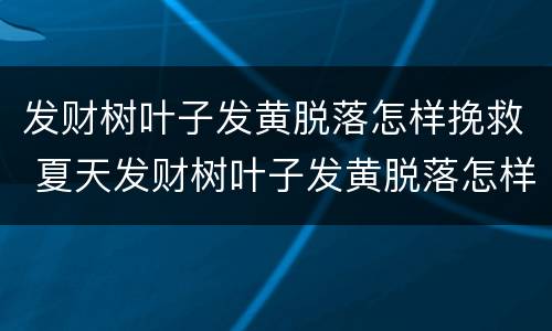 发财树叶子发黄脱落怎样挽救 夏天发财树叶子发黄脱落怎样挽救