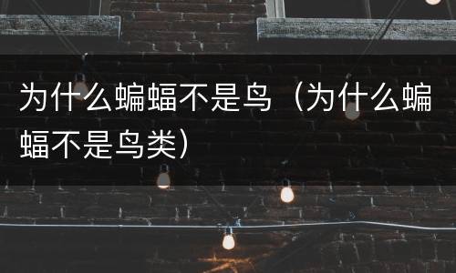 为什么蝙蝠不是鸟（为什么蝙蝠不是鸟类）