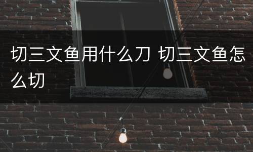 切三文鱼用什么刀 切三文鱼怎么切
