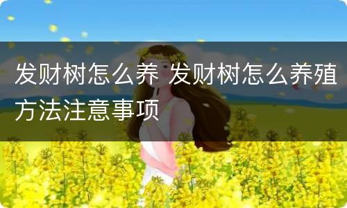 发财树怎么养 发财树怎么养殖方法注意事项