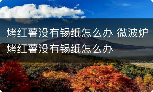 烤红薯没有锡纸怎么办 微波炉烤红薯没有锡纸怎么办