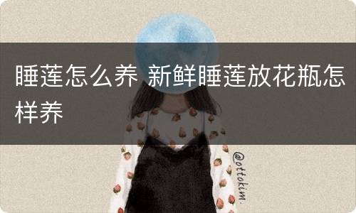 睡莲怎么养 新鲜睡莲放花瓶怎样养