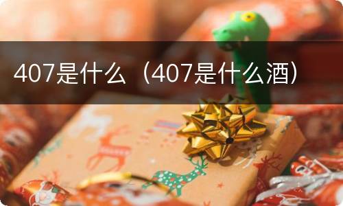 407是什么（407是什么酒）