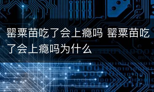 罂粟苗吃了会上瘾吗 罂粟苗吃了会上瘾吗为什么