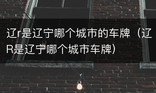 辽r是辽宁哪个城市的车牌（辽R是辽宁哪个城市车牌）