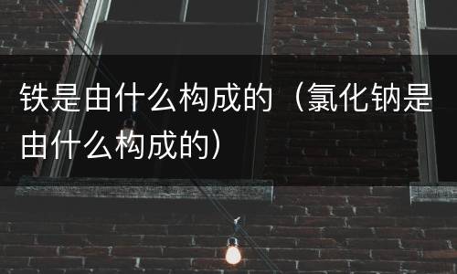 铁是由什么构成的（氯化钠是由什么构成的）