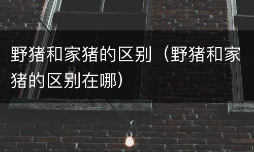 野猪和家猪的区别（野猪和家猪的区别在哪）