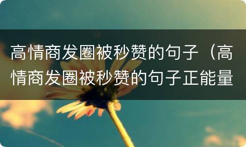 高情商发圈被秒赞的句子（高情商发圈被秒赞的句子正能量）