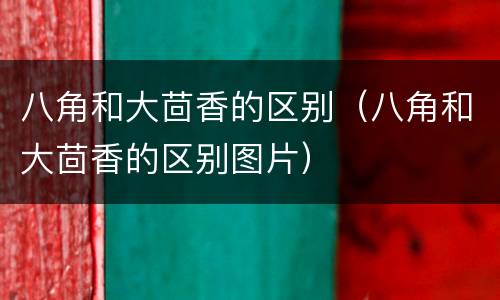 八角和大茴香的区别（八角和大茴香的区别图片）