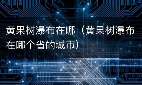 黄果树瀑布在哪（黄果树瀑布在哪个省的城市）