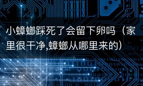 小蟑螂踩死了会留下卵吗（家里很干净,蟑螂从哪里来的）