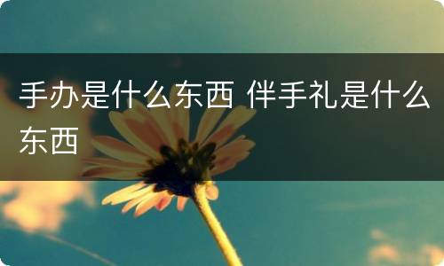 手办是什么东西 伴手礼是什么东西