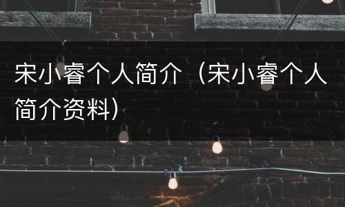 宋小睿个人简介（宋小睿个人简介资料）