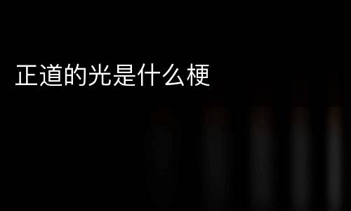正道的光是什么梗