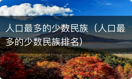 人口最多的少数民族（人口最多的少数民族排名）