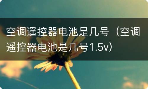 空调遥控器电池是几号（空调遥控器电池是几号1.5v）