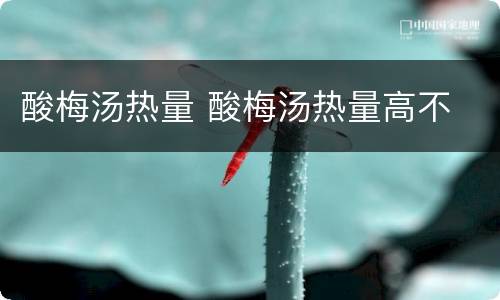 酸梅汤热量 酸梅汤热量高不