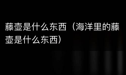 藤壶是什么东西（海洋里的藤壶是什么东西）