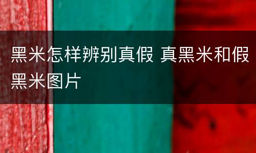 黑米怎样辨别真假 真黑米和假黑米图片 黑米怎样辨别真假 真黑米和假黑米图片