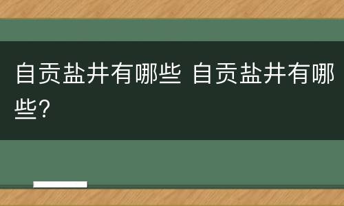 自贡盐井有哪些 自贡盐井有哪些?