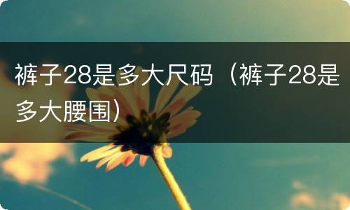 裤子28是多大尺码（裤子28是多大腰围）