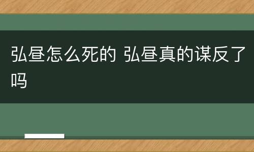 弘昼怎么死的 弘昼真的谋反了吗