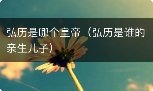 弘历是哪个皇帝（弘历是谁的亲生儿子）