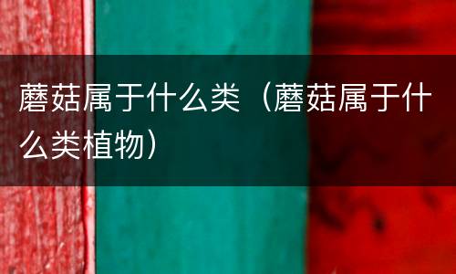 蘑菇属于什么类（蘑菇属于什么类植物）