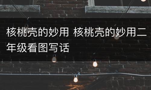 核桃壳的妙用 核桃壳的妙用二年级看图写话