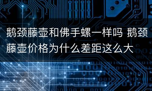鹅颈藤壶和佛手螺一样吗 鹅颈藤壶价格为什么差距这么大