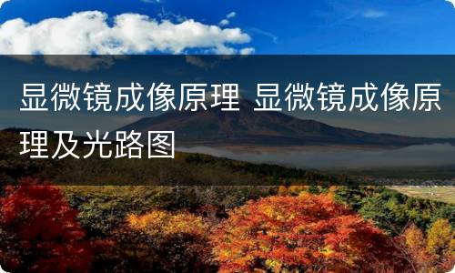 显微镜成像原理 显微镜成像原理及光路图
