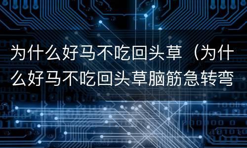 为什么好马不吃回头草（为什么好马不吃回头草脑筋急转弯）