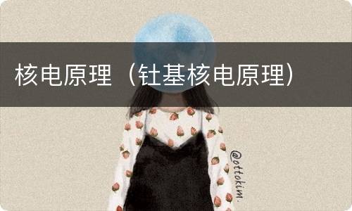 核电原理（钍基核电原理）