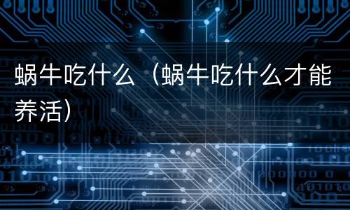 蜗牛吃什么（蜗牛吃什么才能养活）
