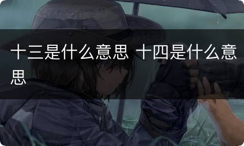 十三是什么意思 十四是什么意思