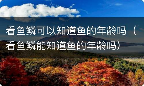 看鱼鳞可以知道鱼的年龄吗（看鱼鳞能知道鱼的年龄吗）