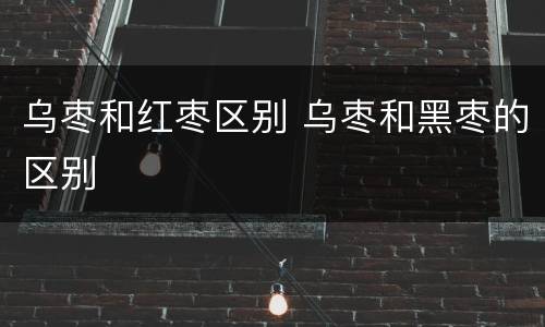 乌枣和红枣区别 乌枣和黑枣的区别