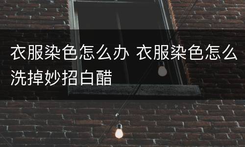 衣服染色怎么办 衣服染色怎么洗掉妙招白醋