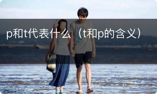 p和t代表什么（t和p的含义）