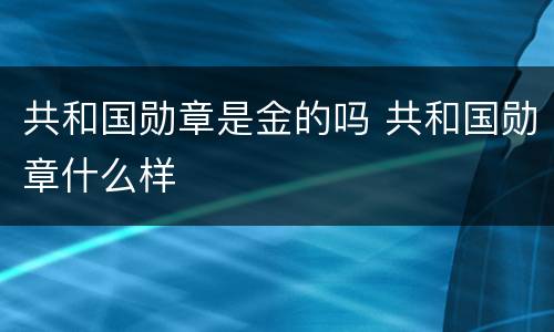 共和国勋章是金的吗 共和国勋章什么样