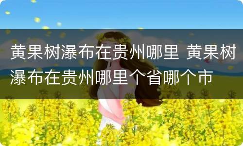 黄果树瀑布在贵州哪里 黄果树瀑布在贵州哪里个省哪个市