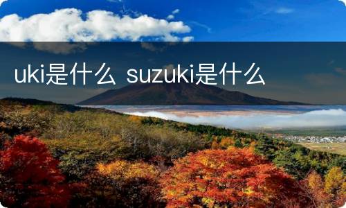 uki是什么 suzuki是什么