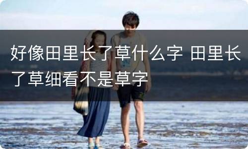 好像田里长了草什么字 田里长了草细看不是草字