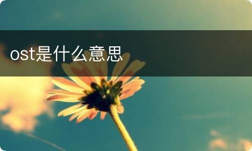 ost是什么意思